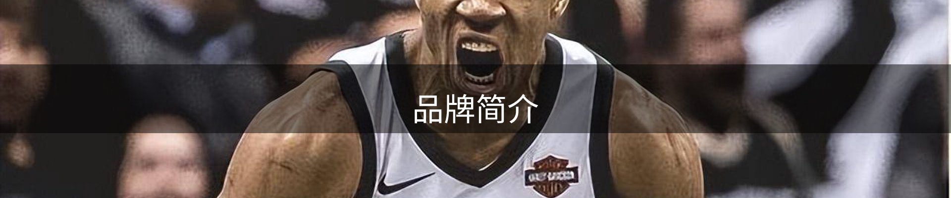 品牌简介